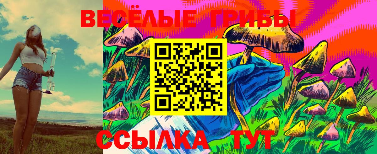 Псилоцибиновые грибы Cubensis Чебоксары