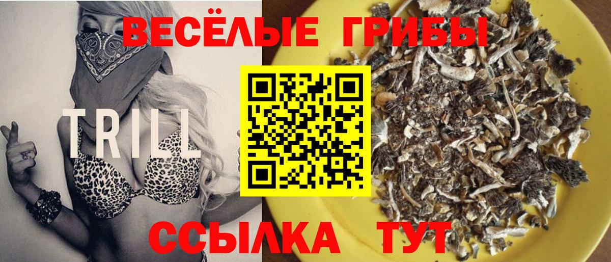 Галлюциногенные грибы Magic Shrooms  Вход с VPN  закладка  Чебоксары 